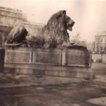 London – Trafalgar Square lion at Nelson’s Column