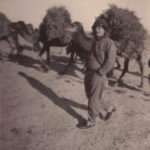 soldier with camels
